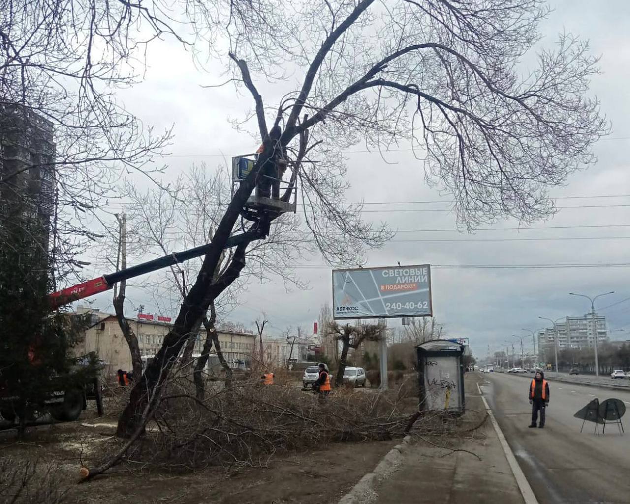 Обрезка деревьев в Красноярске