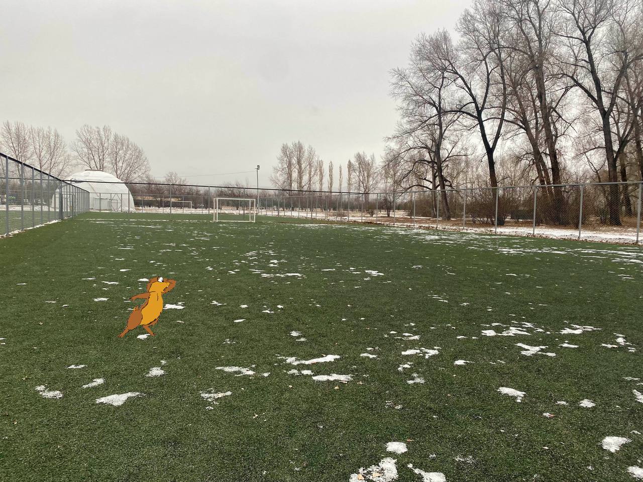 Футбольное поле на Татышеве