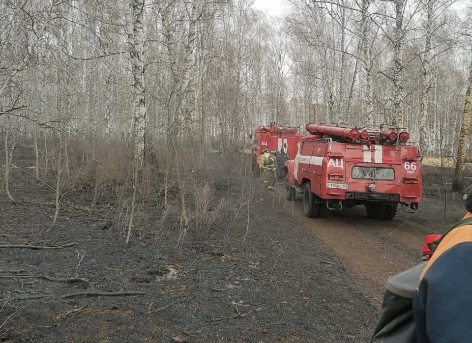 пожарные машины в лесу
