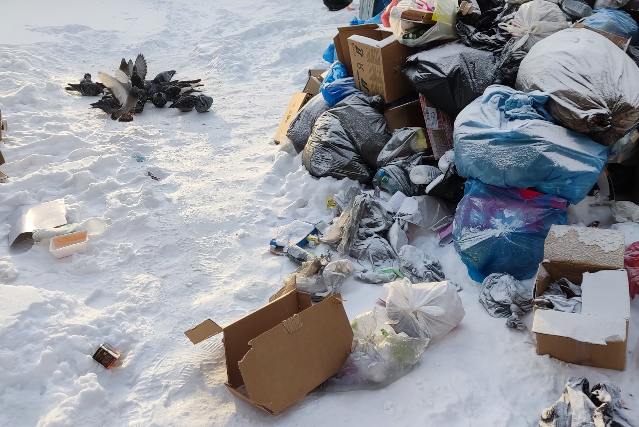 Мусор валяется на улице