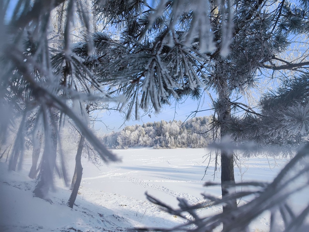 Нацпарк "Шушенский бор", зима