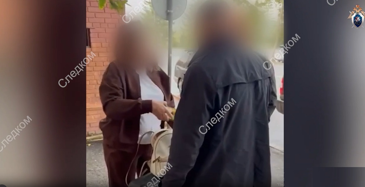 Задержание подозреваемой в мошенничестве
