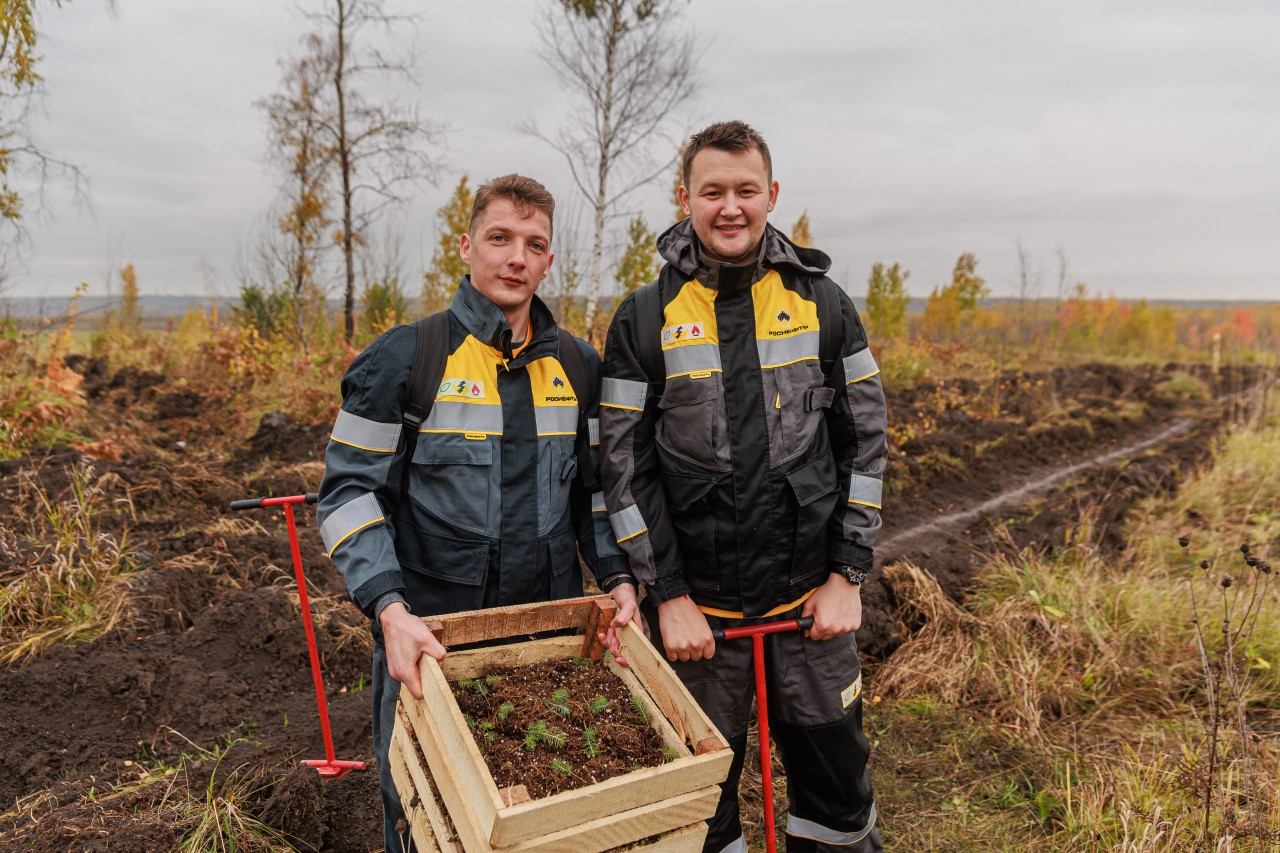 Саженцы высадил Ванкор