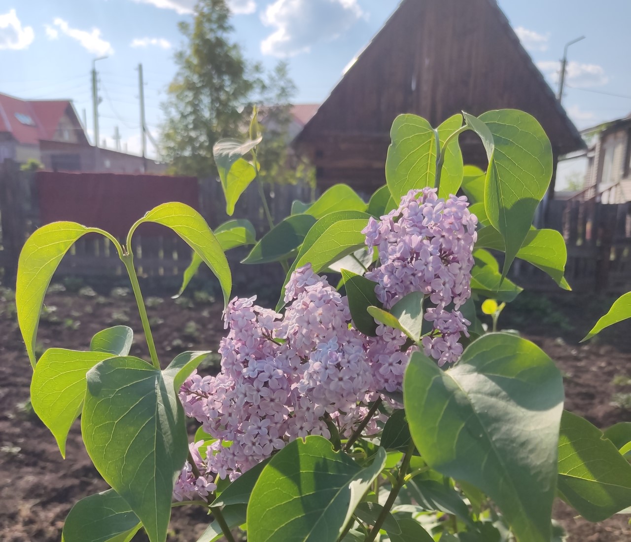 Участок за городом