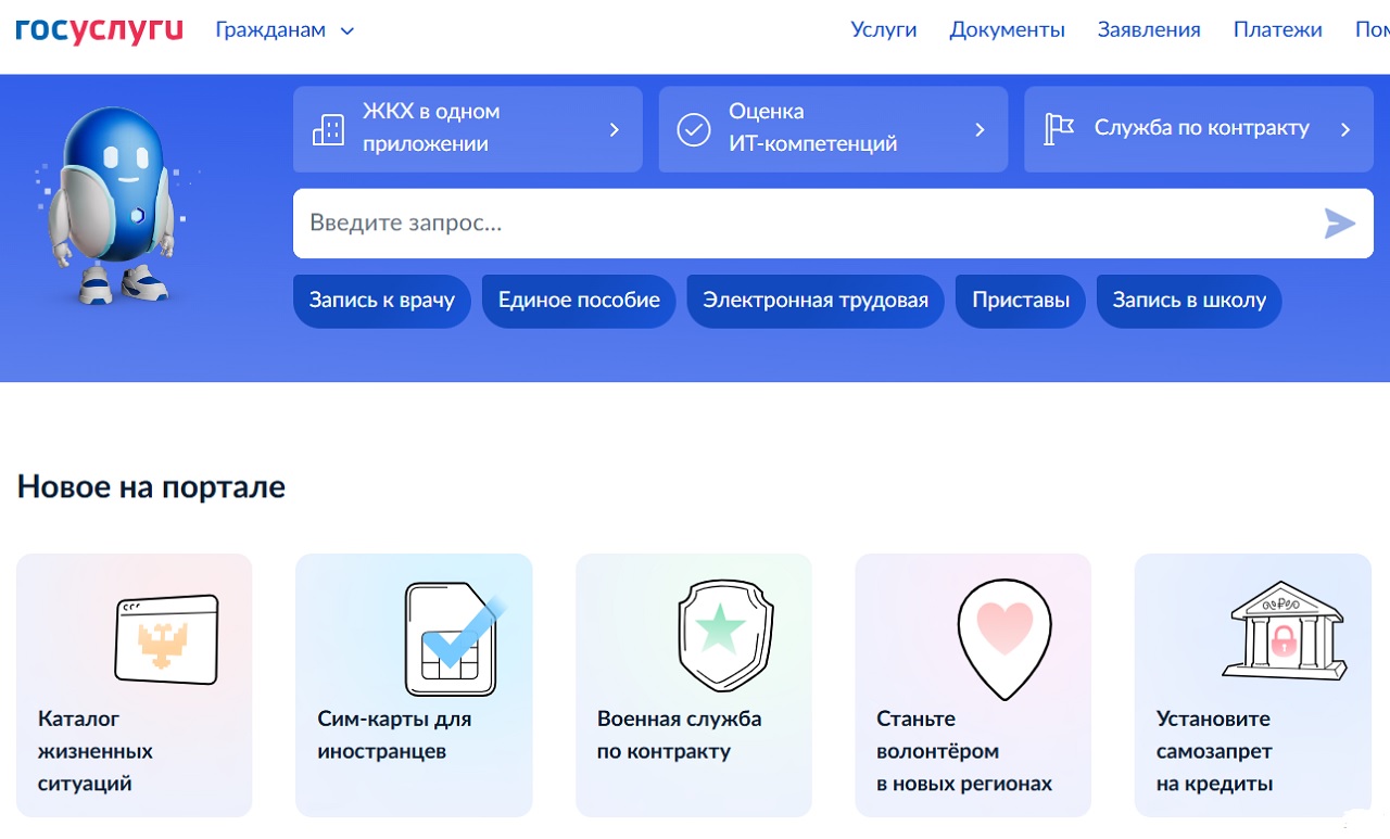 Госуслуги, скрин экрана