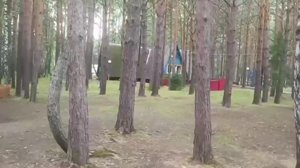 лагерь в Сухобузимском районе