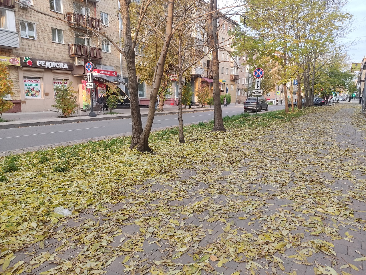 Осень в Красноярске