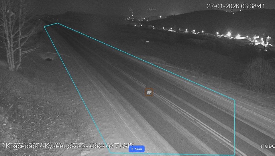 Заяц перебегает дорогу