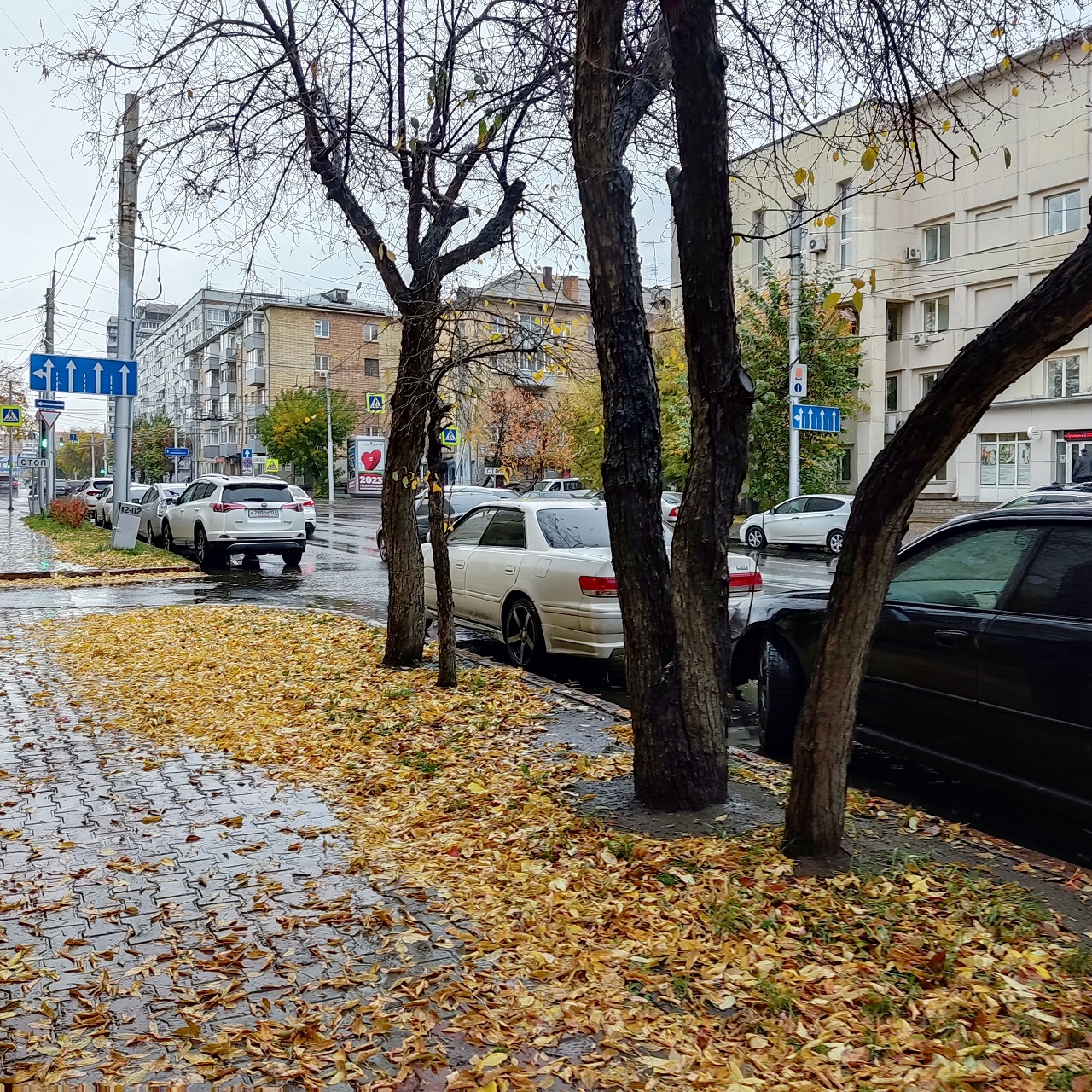 Октябрь в Красноярске