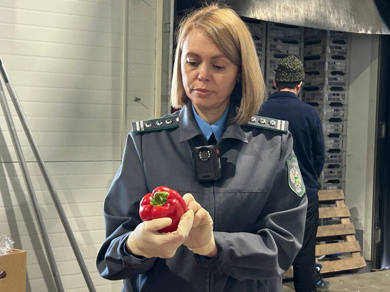 Проверка китайского перца