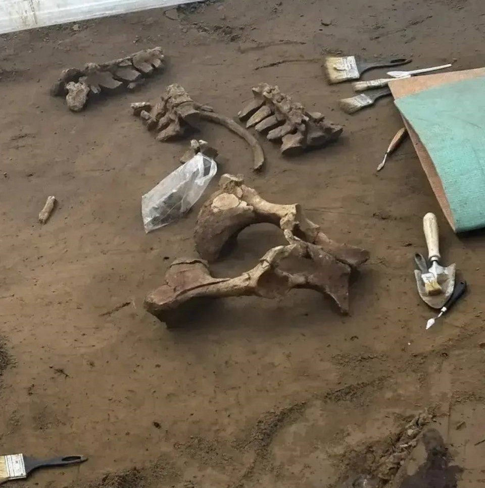 Кости, найденные на территории монастыря