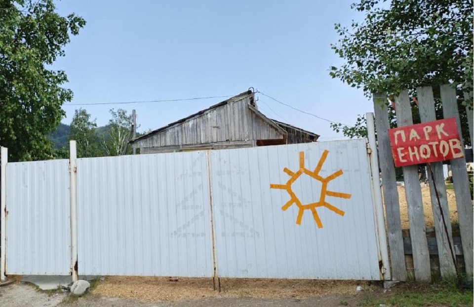 парк енотов в Шушенском МО