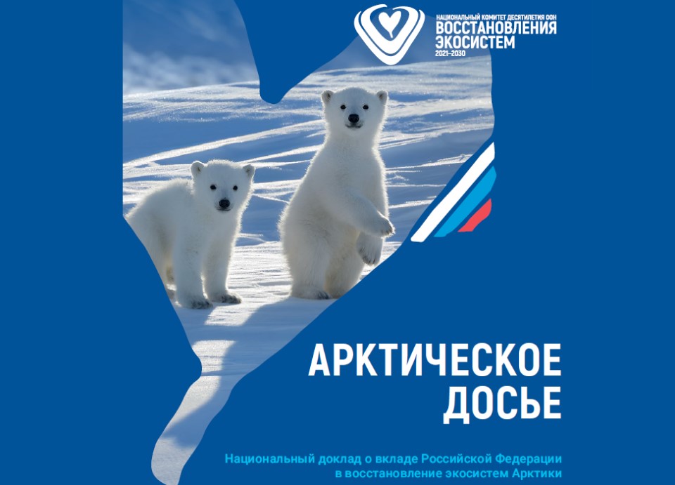 Доклад "Арктическое досье"