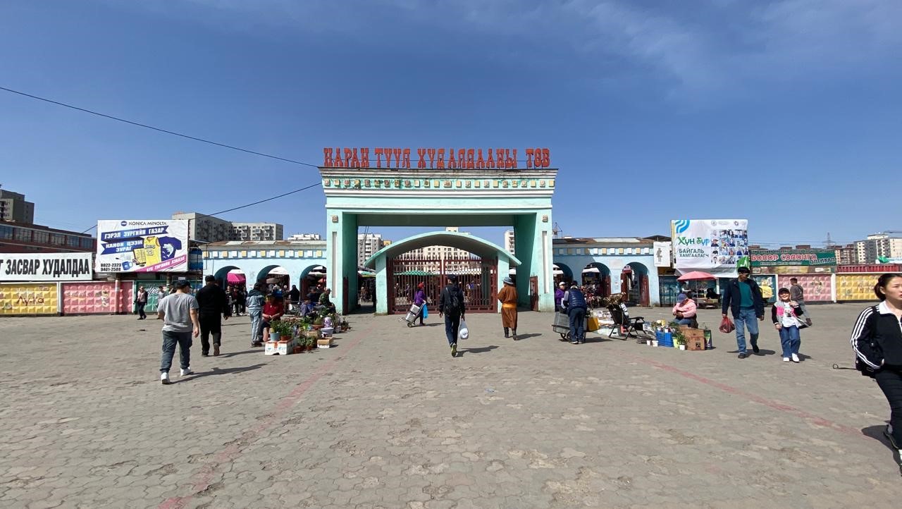 Виды в Монголии