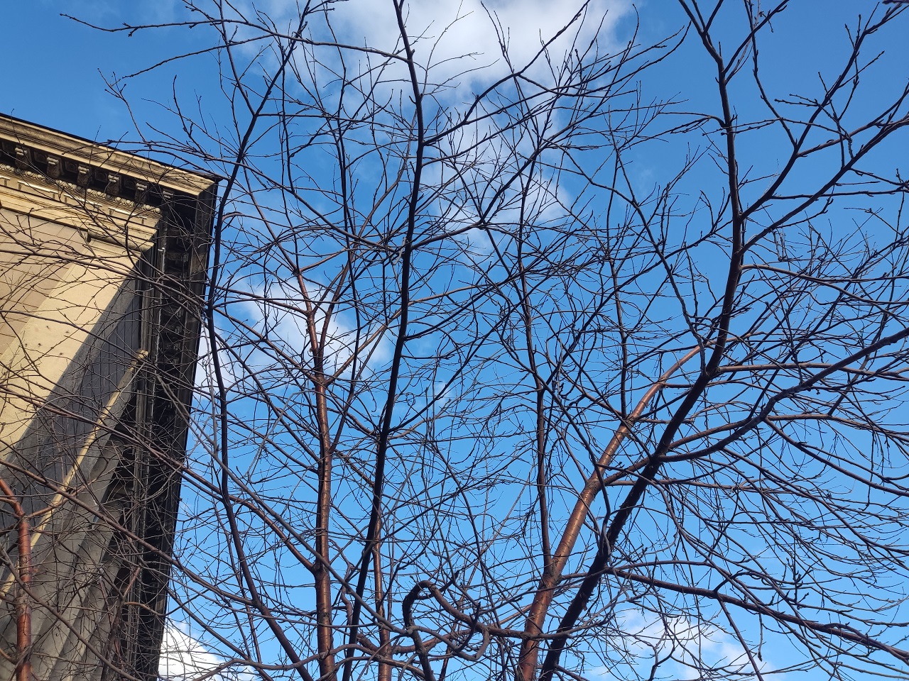 Весна в Красноярске