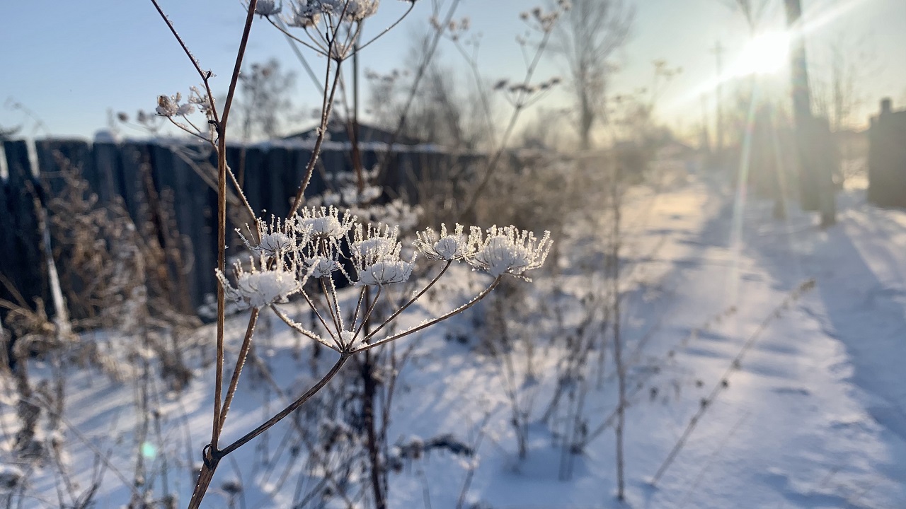 Зимний пейзаж, мороз за городом