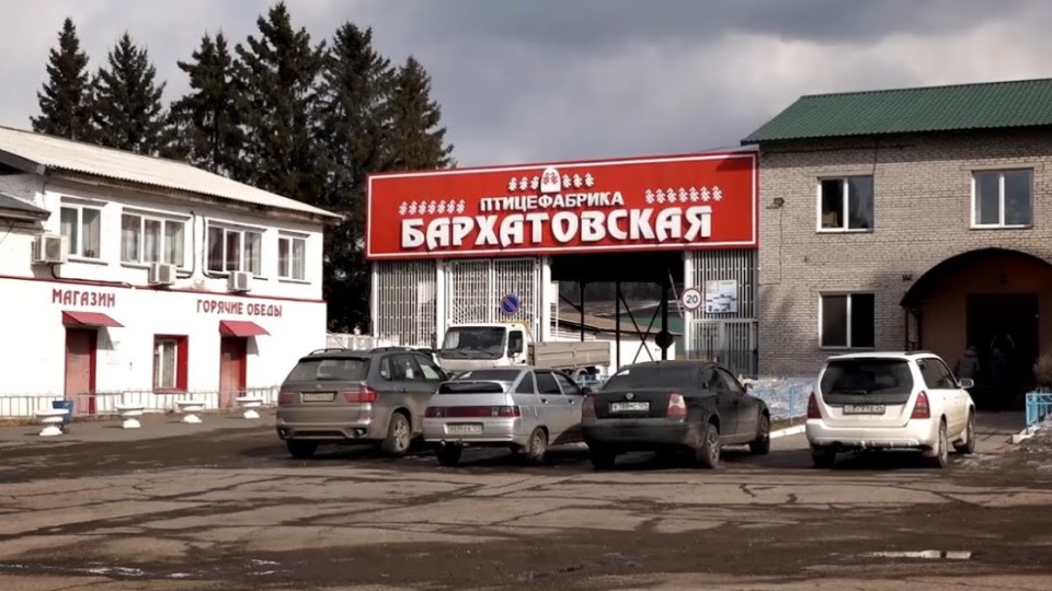 Бархатовская птицефабрика в Красноярске
