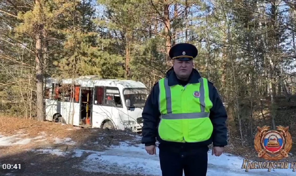 Автобус врезался в дерево