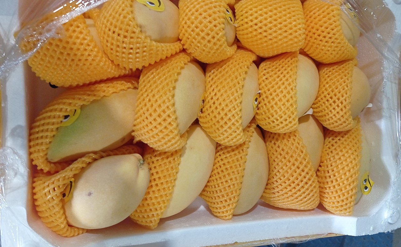 В Красноярске нашли зараженные манго