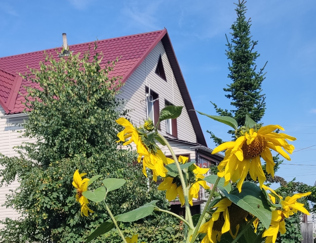 Дом за городом