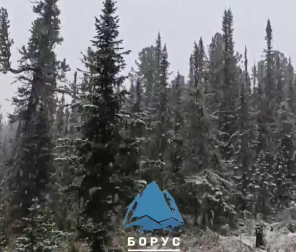 Снег в Ергаках
