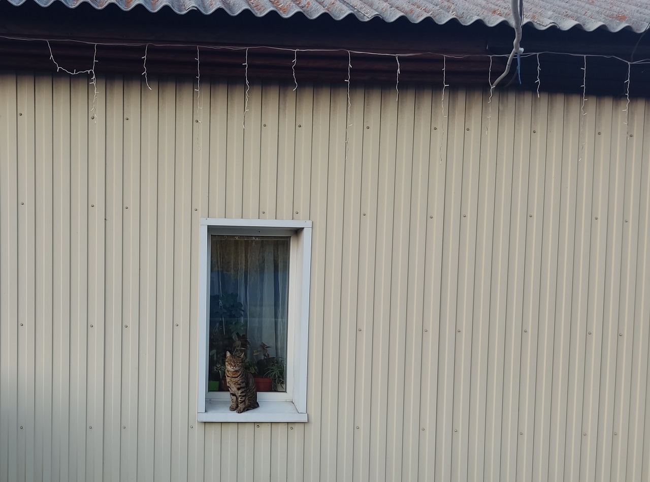 Дом в деревне