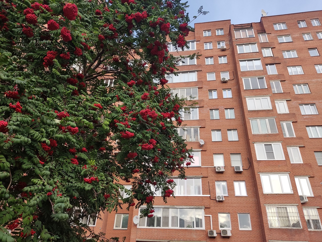 Дом в городе