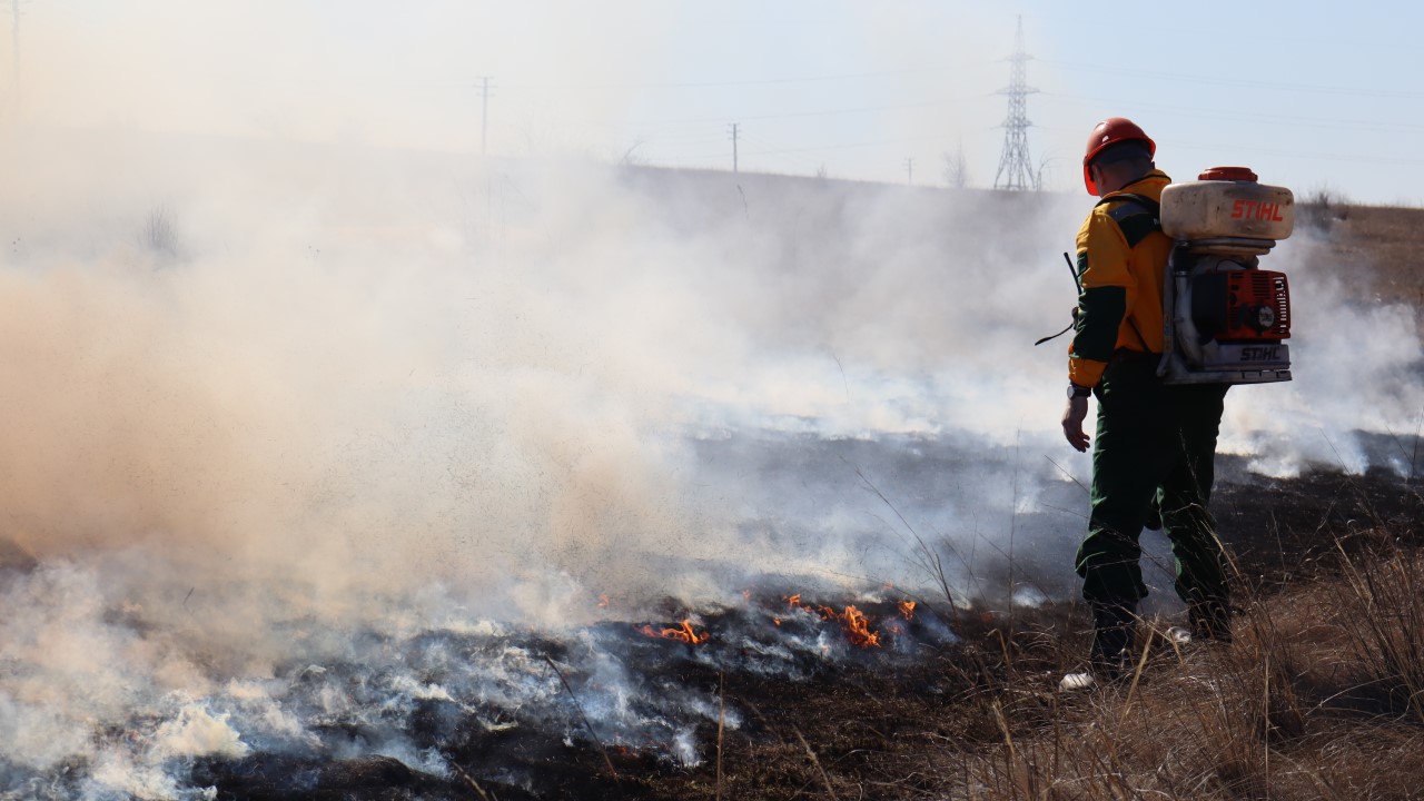 Красноярским пожарным-добровольцам назначат повышенные выплаты