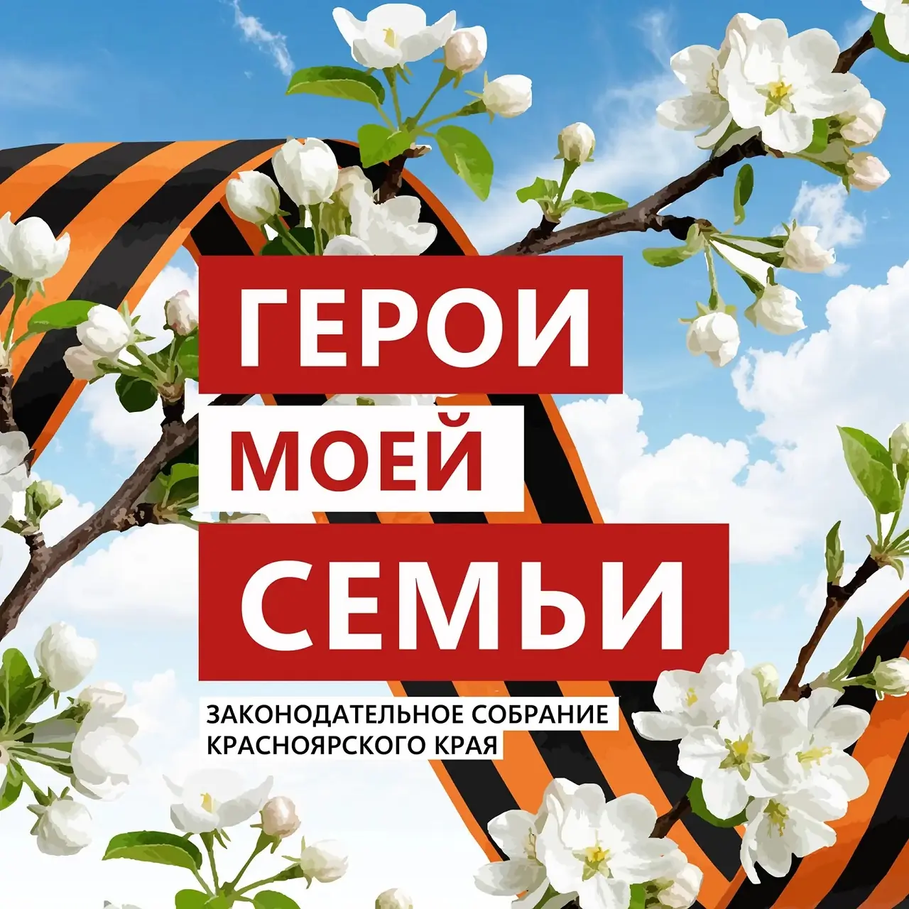Проект депутатов к 9 Мая