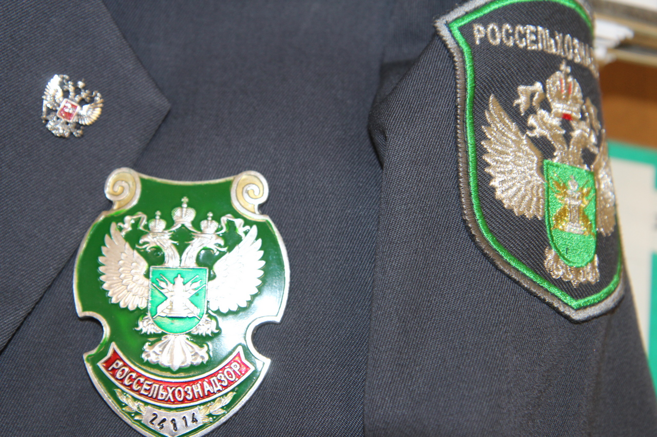 Фирму из Железногорска оштрафовали за опасные пельмени