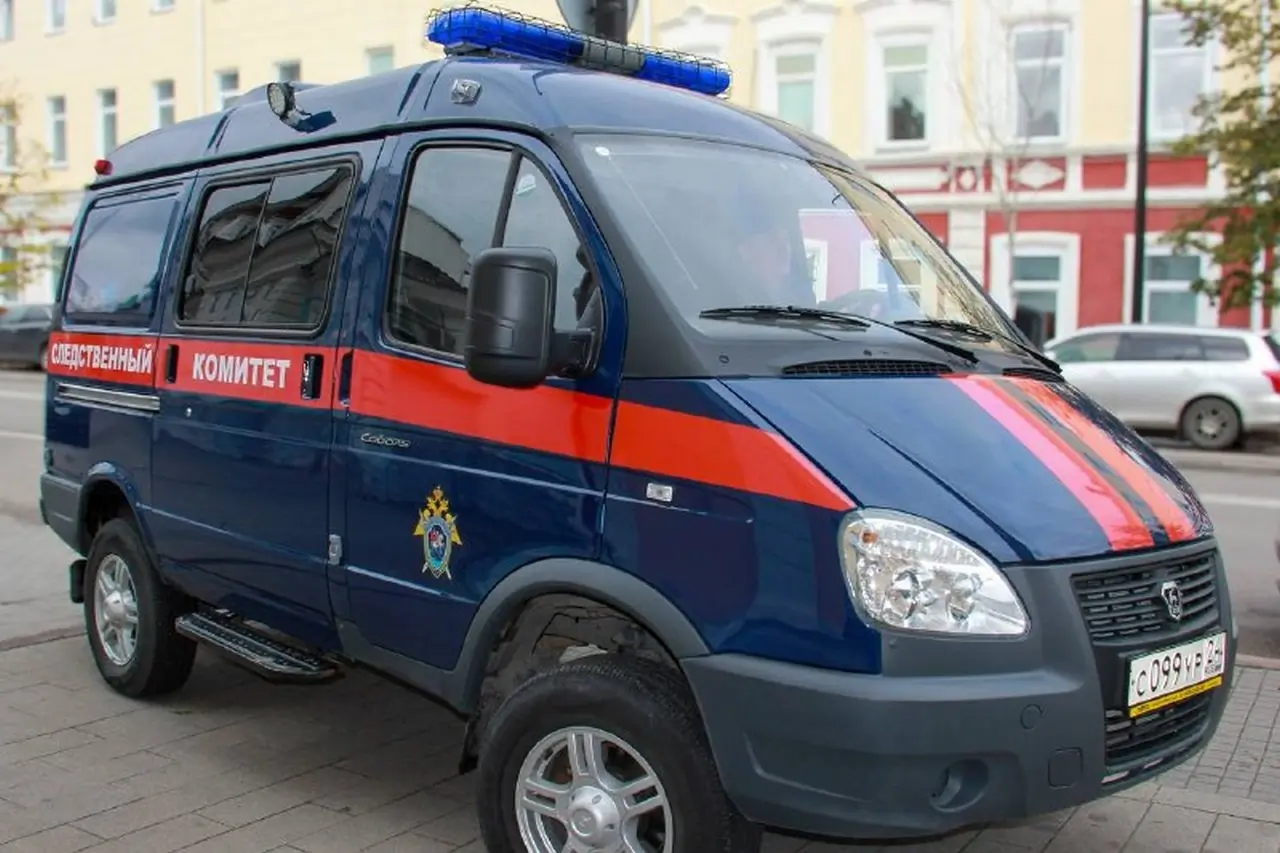 В Красноярске возбуждено дело после смерти 16-летнего подростка