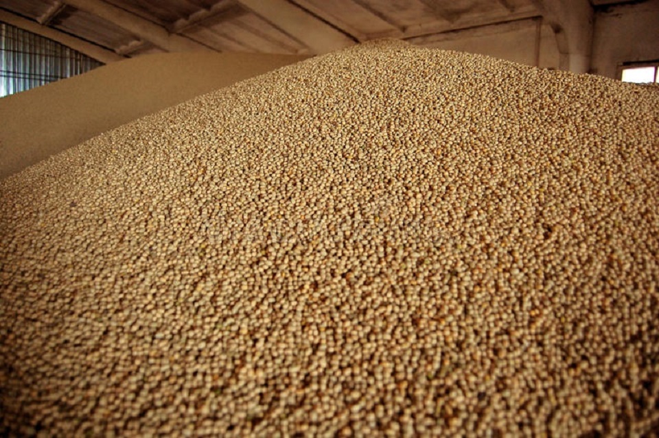 Зерно на складе
