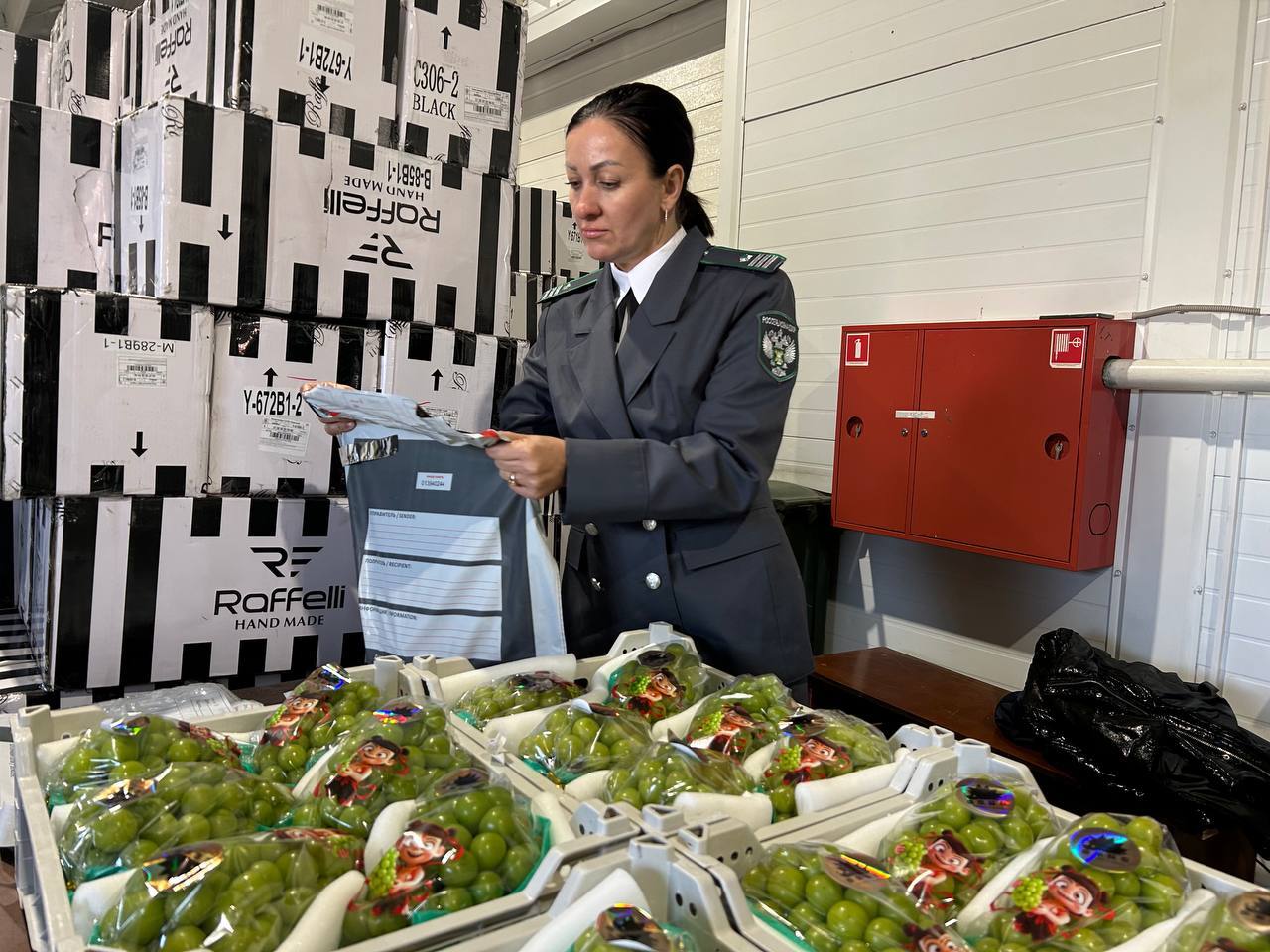 128,8 тыс. тонн импортных овощей и фруктов ввезли в Красноярск за год