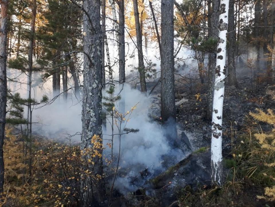 Лесной пожар рядом со Столбами