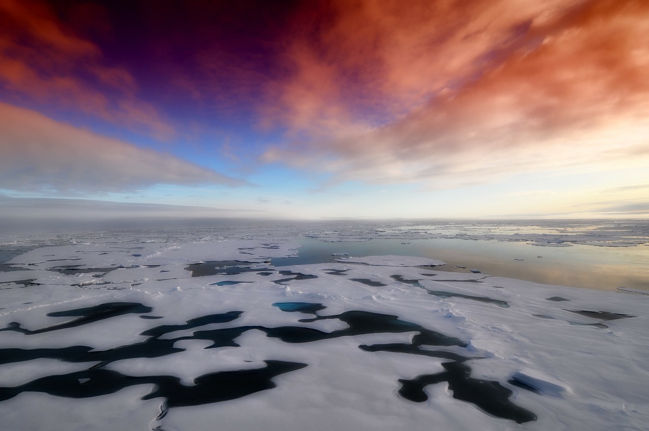 Природа в Арктике