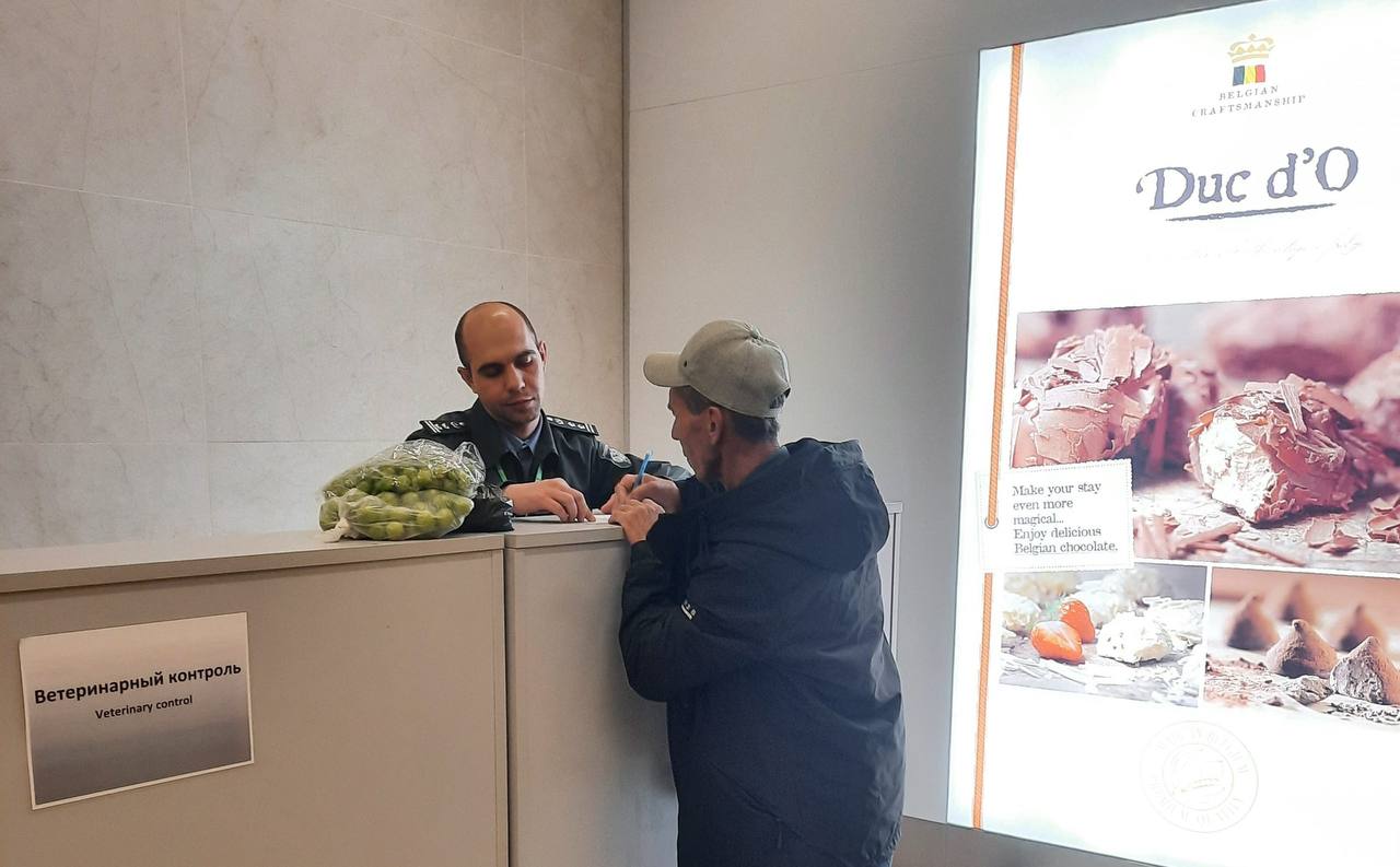 Проверка иностранца в аэропорту