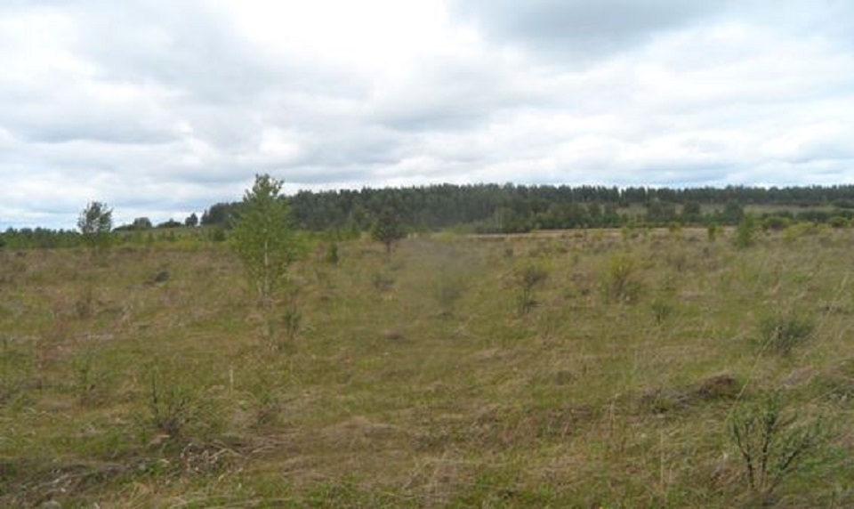 Земля в Шарыповском округе