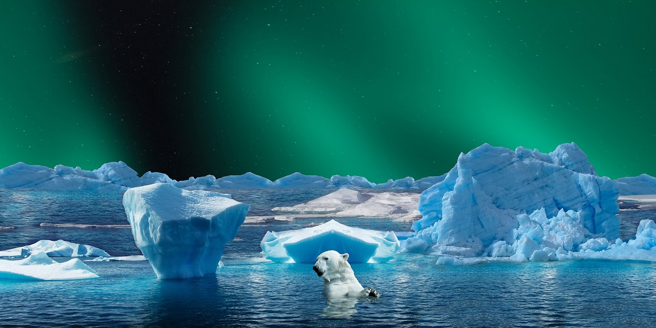 Северное сияние в Арктике