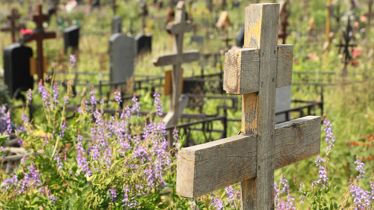 Кресты на кладбище