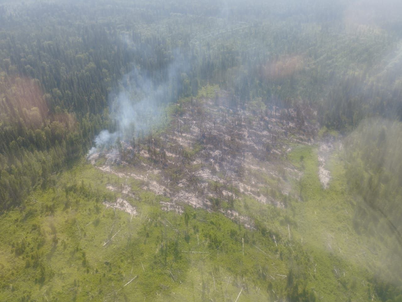 43 лесных пожара действуют в Красноярском крае