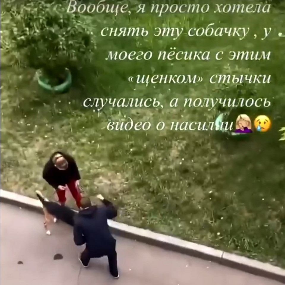Избиение собаки попало на видео