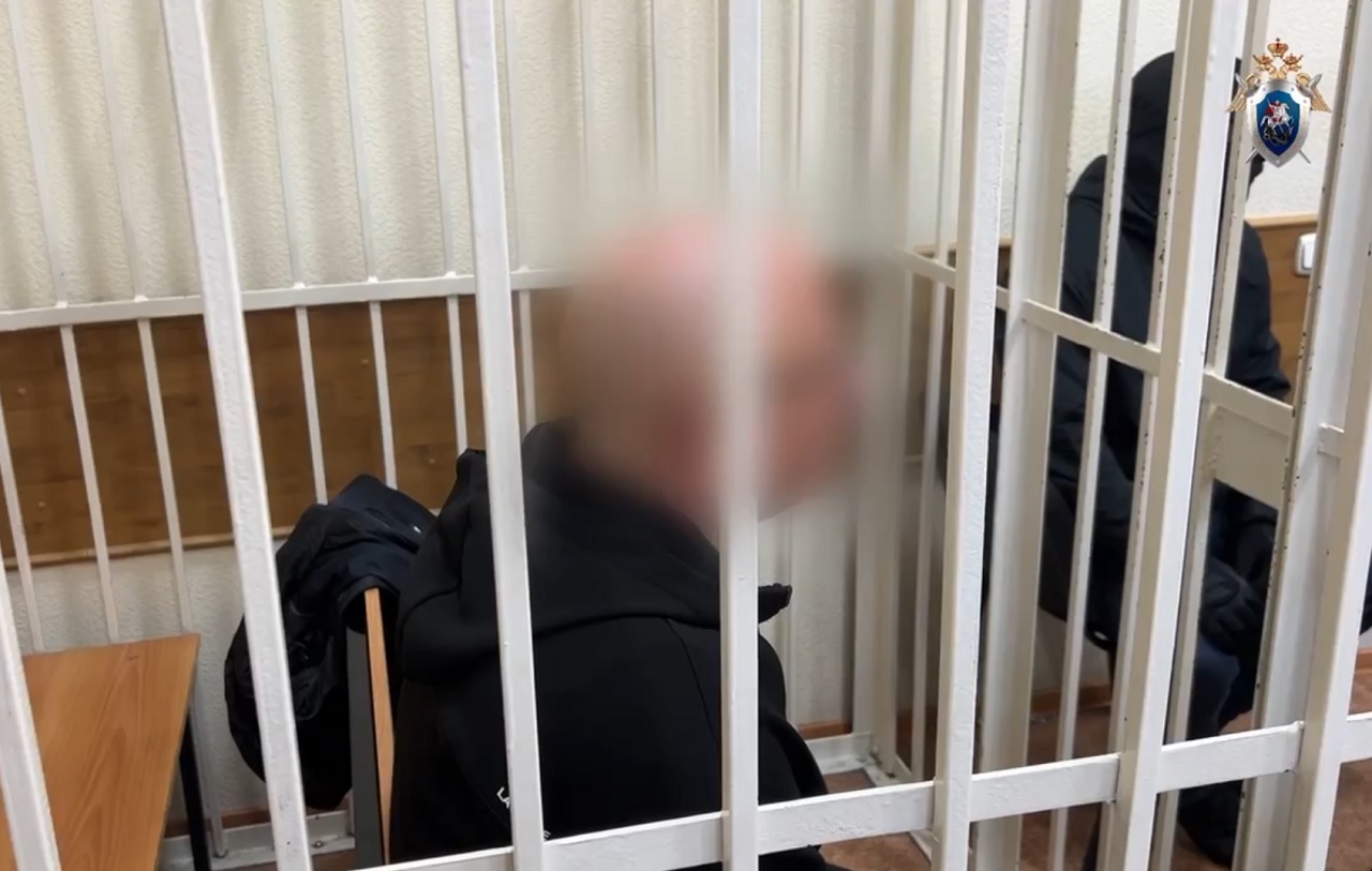 Александр Ананьев за решеткой в суде