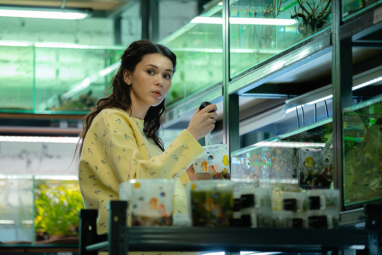 Анна Богомолова, "Отпечатки"