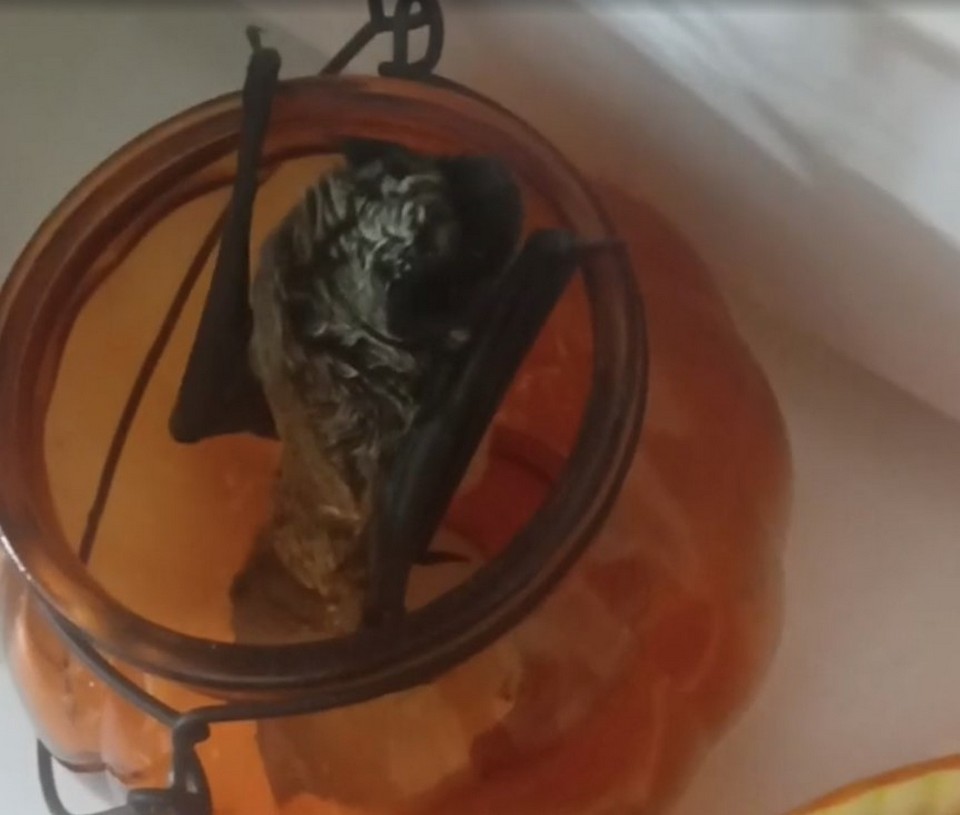 Мышь выбрала для зимовки именно этот подсвечник