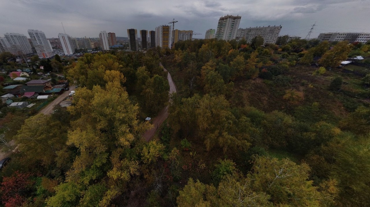 Лес на Лесопарковой вырубят ради школы