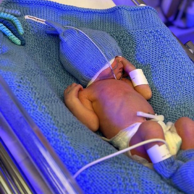 15 двоен родилось в крае в октябре