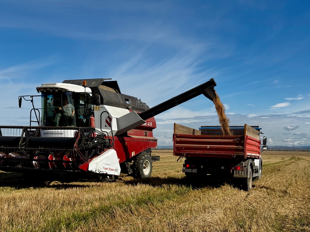 Красноярские аграрии получат субсидии на производство зерна