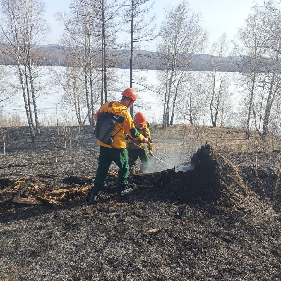 Первый лесной пожар потушили в Красноярском крае