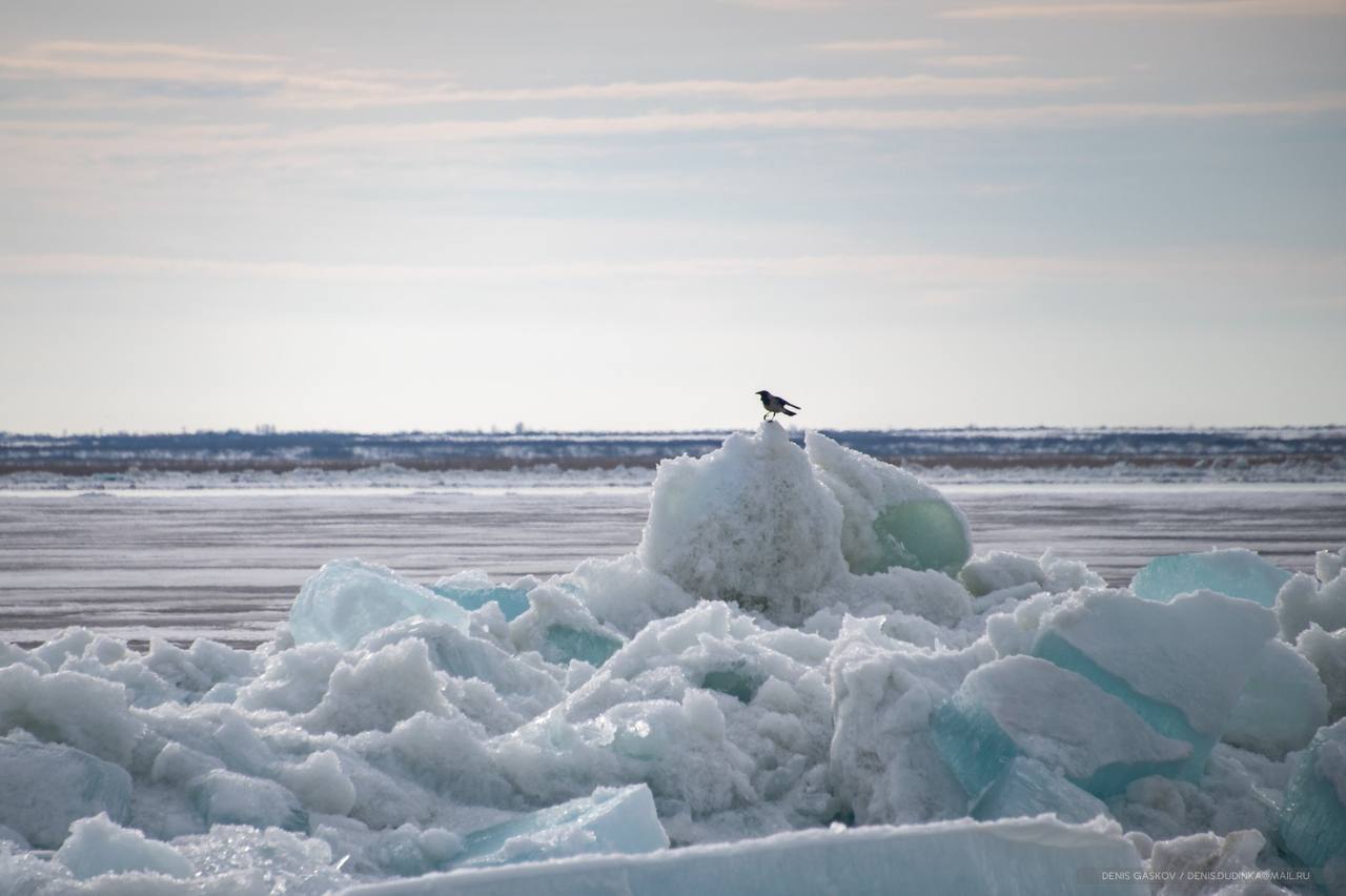 Фотограф показал ледоход на севере края
