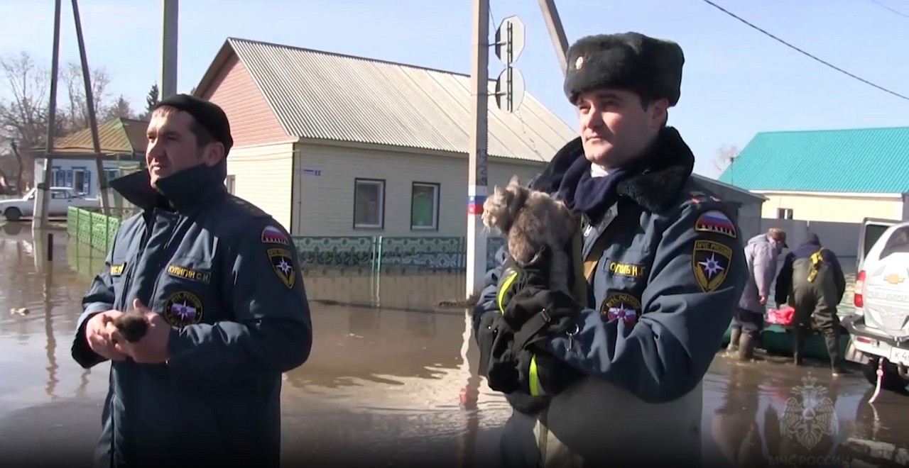 В МЧС призывают во время эвакуации не бросать питомцев